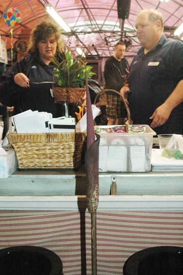 March 31, 29 inches - in the background are Sally and Phil and that is Bryant way way back there!