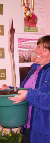 Here is Mr Stinky and his pal, Tammy, on Friday 3/27 - he is 25" tall