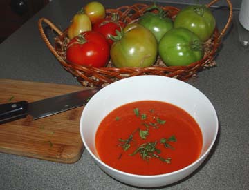 Soup sprinkied with a bit of basil chiffonade