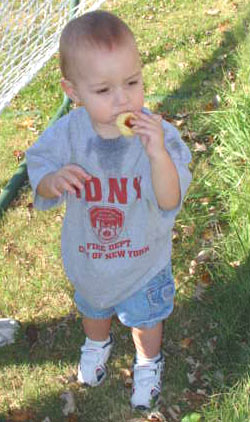 Joe the cookie tester