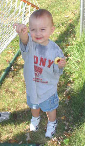 Who makes the best cookies?