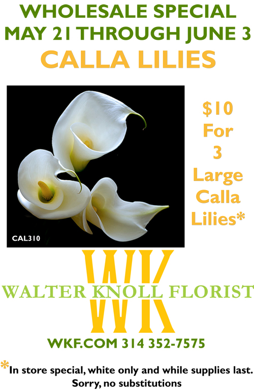 Three large callas for $10