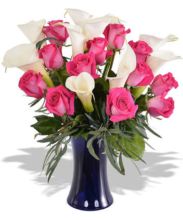 Cobalt Callas with 12 Roses