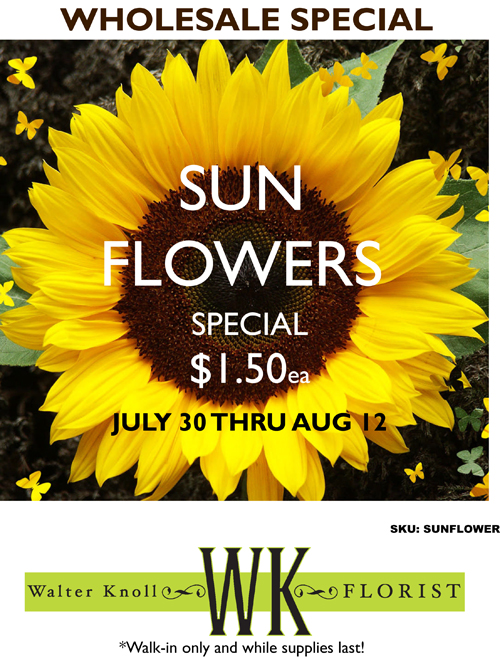 Sunflower Sale