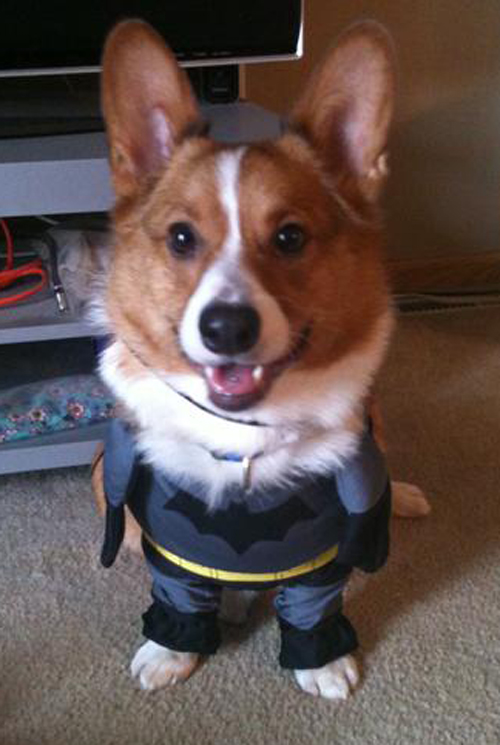 Batman "Captain"