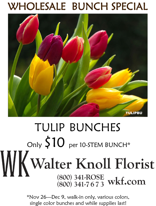 TULIP-Nov2013