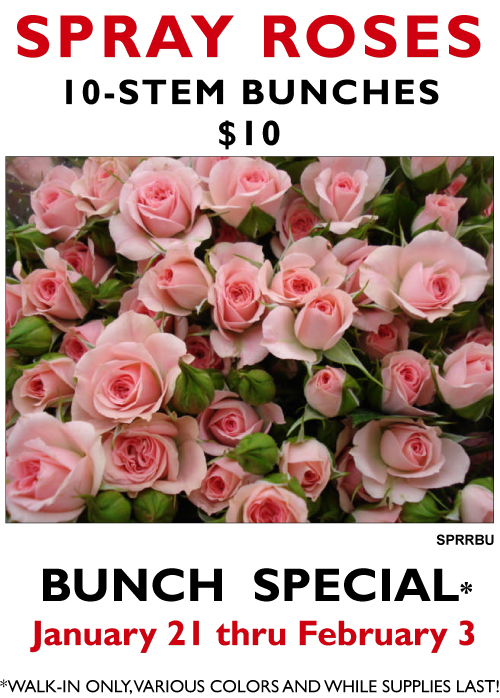 SprayRosesJan2014