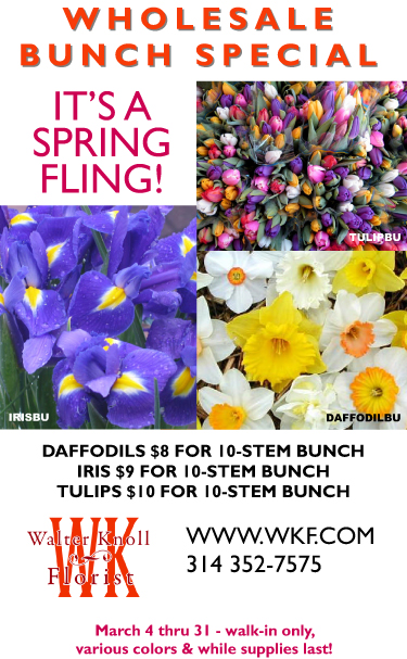 Iris, Daffodils & Tulips