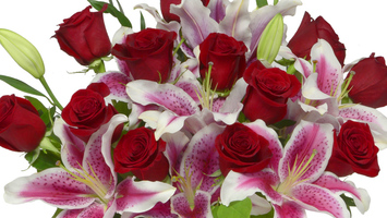 Valentine's Day Arrangements