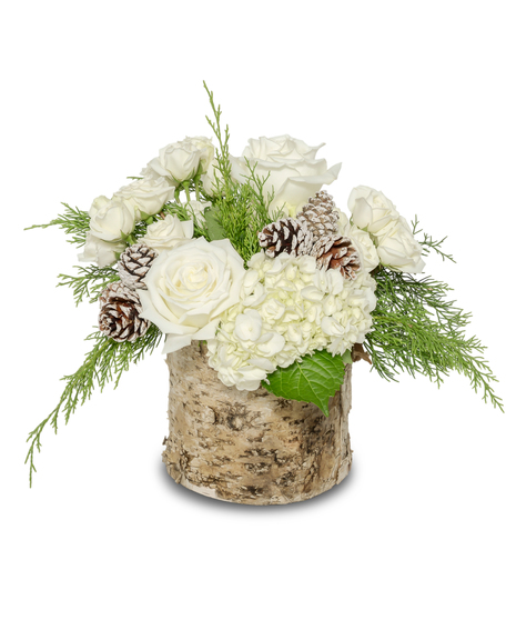 Snowy Dreams features white roses, hydrangeas, and frosted pinecones arranged in a natural birch vase with winter greens for a serene and elegant seasonal display.