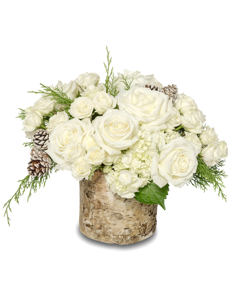 Snowy Dreams features white roses, hydrangeas, and frosted pinecones arranged in a natural birch vase with winter greens for a serene and elegant seasonal display.