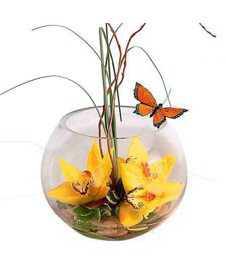 Bubble of Butterfly Kisses