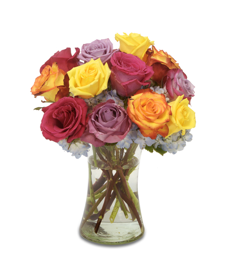 Colorful Roses arranged over a bed of light blue hydrangeas