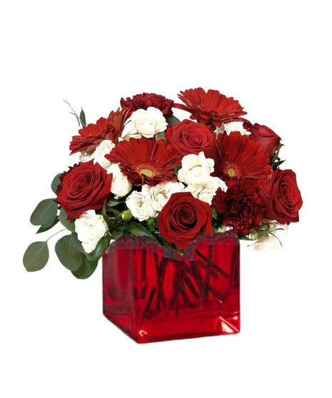 Red and white flower arrangement with roses, carnations, and gerbera daisies in a bold red glass cube vase, accented with greenery.