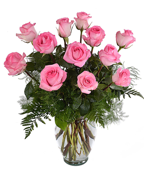Dozen Pink Roses