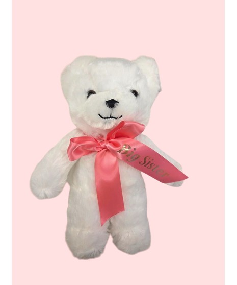 White plush teddy bear with a pink ribbon that reads “Big Sister,” perfect for celebrating new siblings. Ribbon text and color can be personalized.