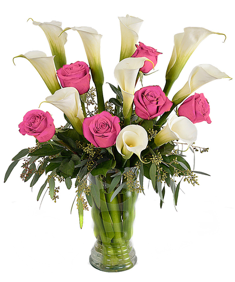 Long Stemmed Calla Lilies