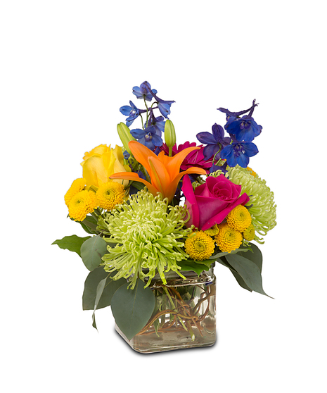 Clear glass cube with a mxiture of bright coloered flowers