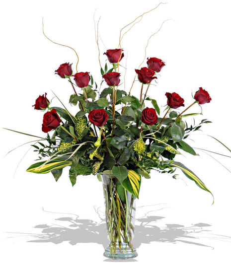 The Magnificent Twelve