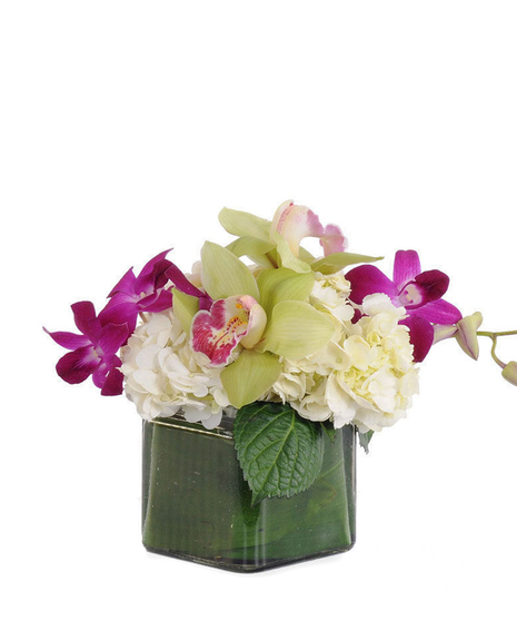 An image showcasing the Orchid Dreams arrangement, featuring a luxurious display of exotic orchids and hydrangeas in a ti leaf-lined glass cube vase.
