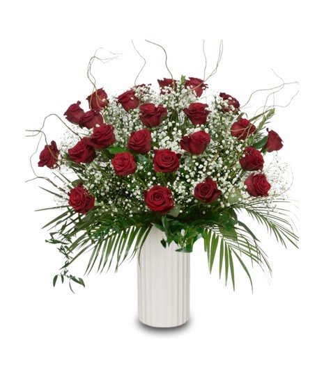 A large luxury arrangement of deep red long stem roses accented with baby’s breath and greenery, artistically arranged in a tall white vase.