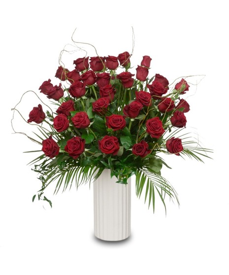 A large luxury arrangement of deep red long stem roses accented with baby’s breath and greenery, artistically arranged in a tall white vase.