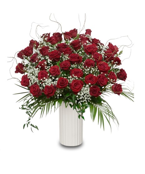 A large luxury arrangement of deep red long stem roses accented with baby’s breath and greenery, artistically arranged in a tall white vase.