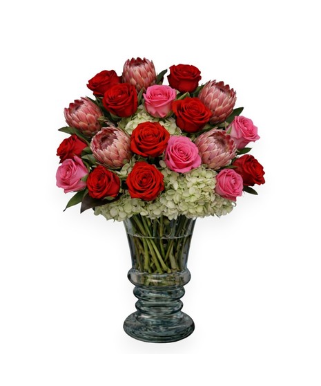 Luxury floral arrangement with antique hydrangeas, pink and red roses, and pink mink proteas arranged in a clear pedestal vase against a white background.