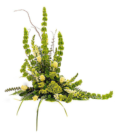 Bold Mix Irish Tribute