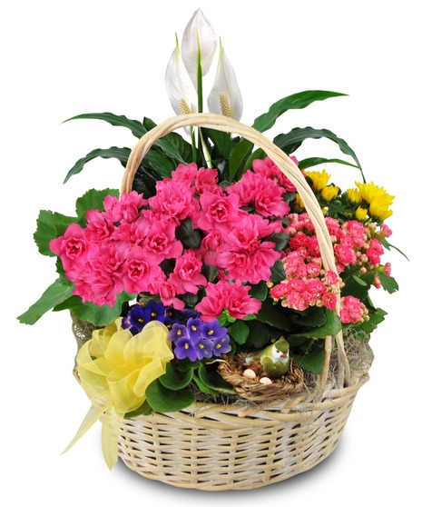 Blooming Garden Basket Deluxe