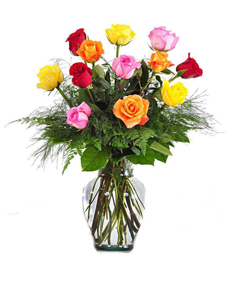 Dozen Starburst Roses