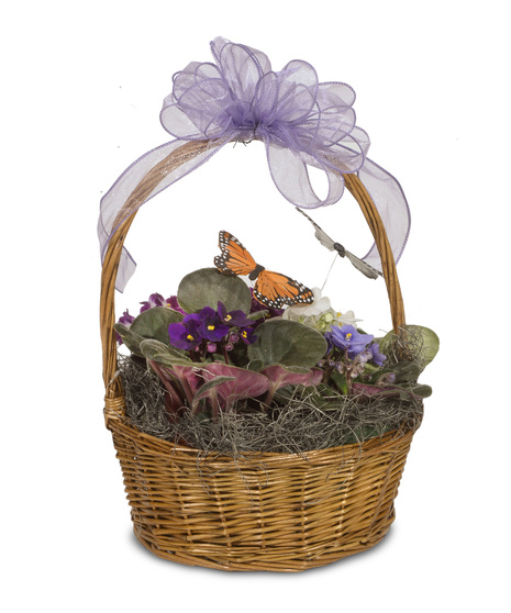 Violets & Butterflies Basket