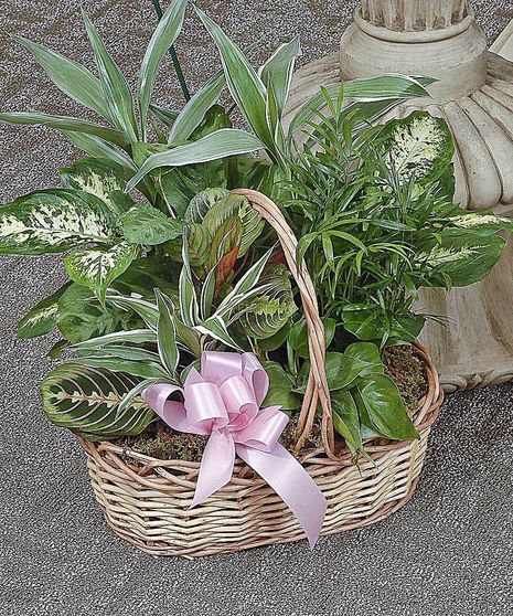 Traditional Mix Planter Garden