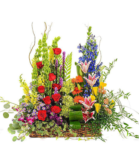 Vivid Euro Garden Window Box