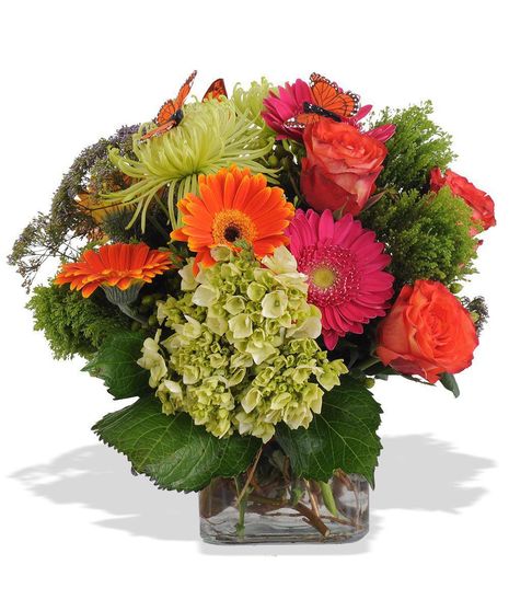 Sweet Dreams Kathleen