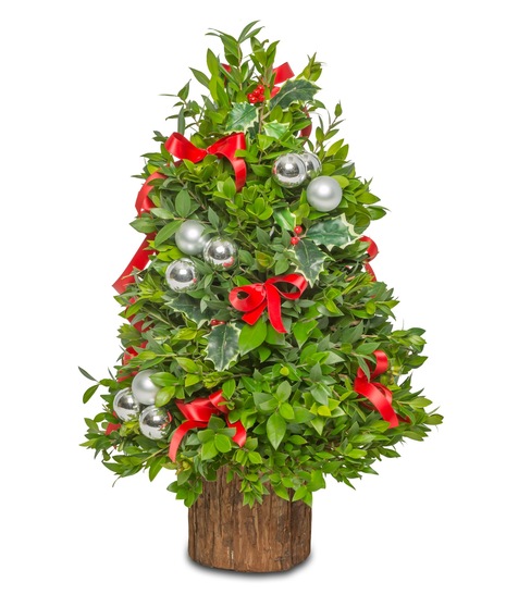 Boxwood Tabletop Tree