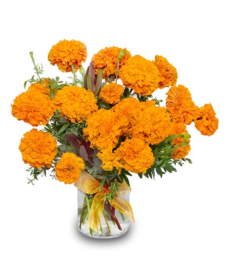 Flor de Muerto: Marigolds