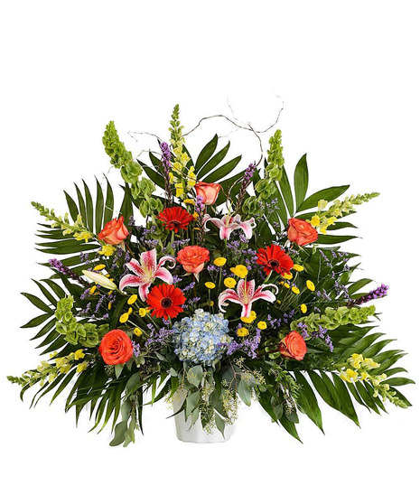 Vivid Euro Garden Summer