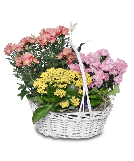 Walter Knoll's Blooming Basket