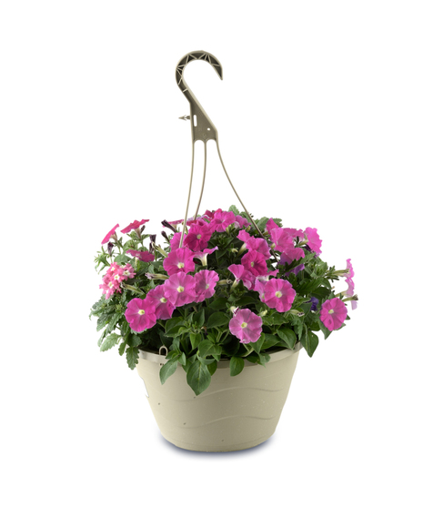flowering hanging baskets assortment with petunias geraniums and lantana