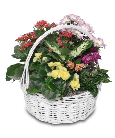 Walter Knoll's Blooming Basket