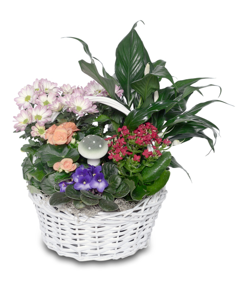 Walter Knoll's Blooming Basket