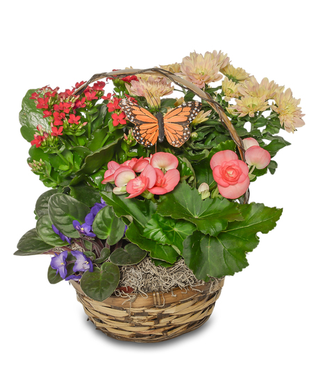 Walter Knoll's Blooming Basket