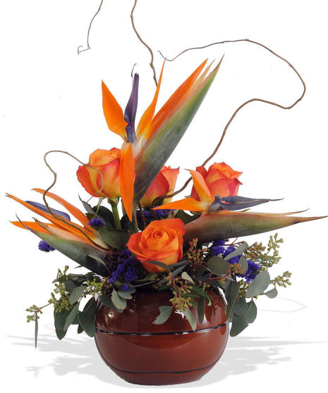 Large Basketball Deluxe