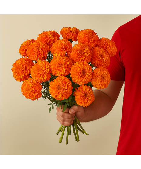 Wholesale Marigolds