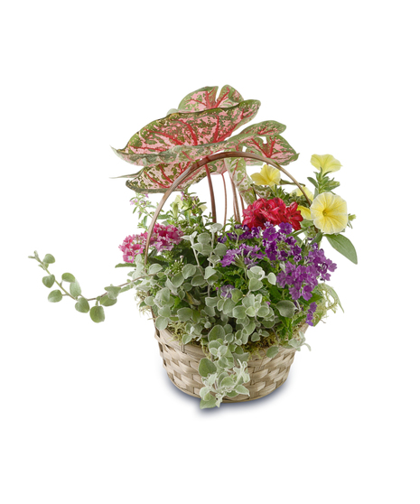 Colorful plantable garden basket with blooming annual flowers, greenery, and butterfly accent in a white handled basket, designed for transplanting outdoors
