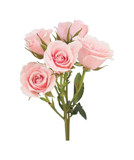 wrist corsage to match navy dress.