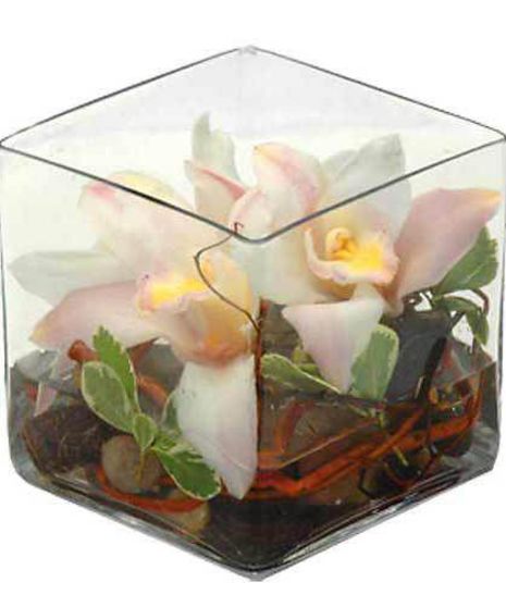 Walter Knoll's Orchid Large Cube Bouquet