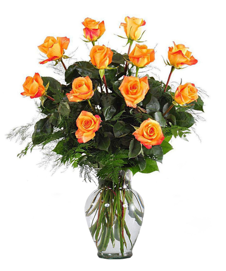 One Dozen Orange Roses