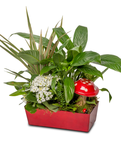 Mushroom Garden features green tropical plants, a white blooming kalanchoe, and a red ceramic mushroom in a red pot with moss and a small ladybug figurine.